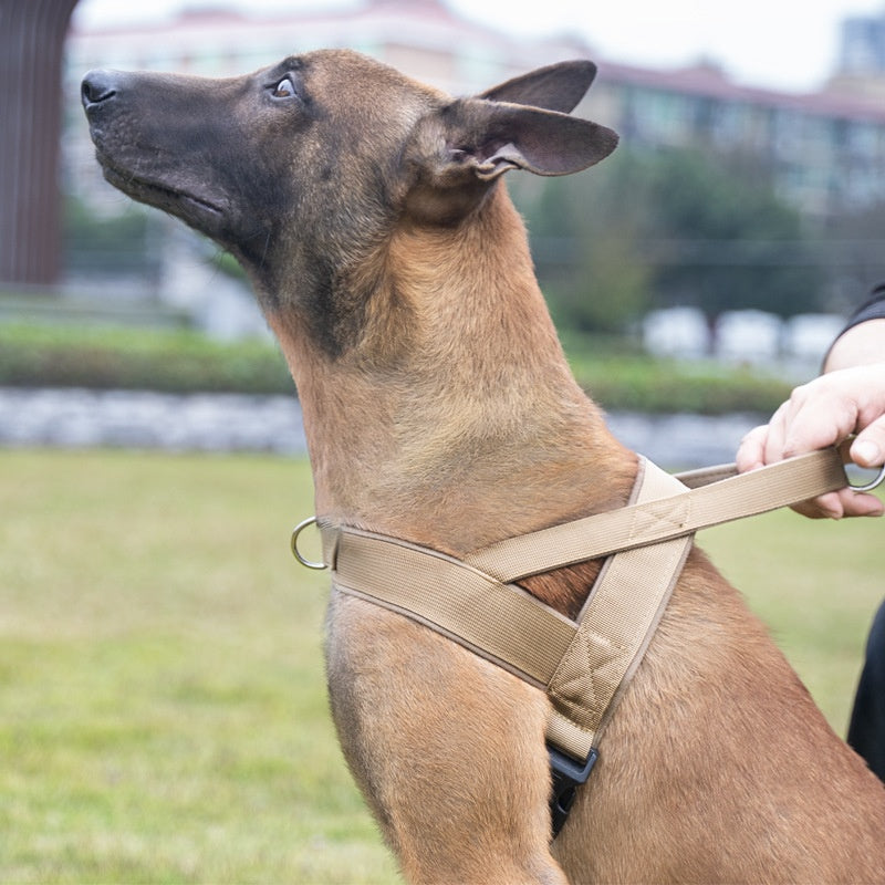 VELTIS™ TrailGuard Dog Harness