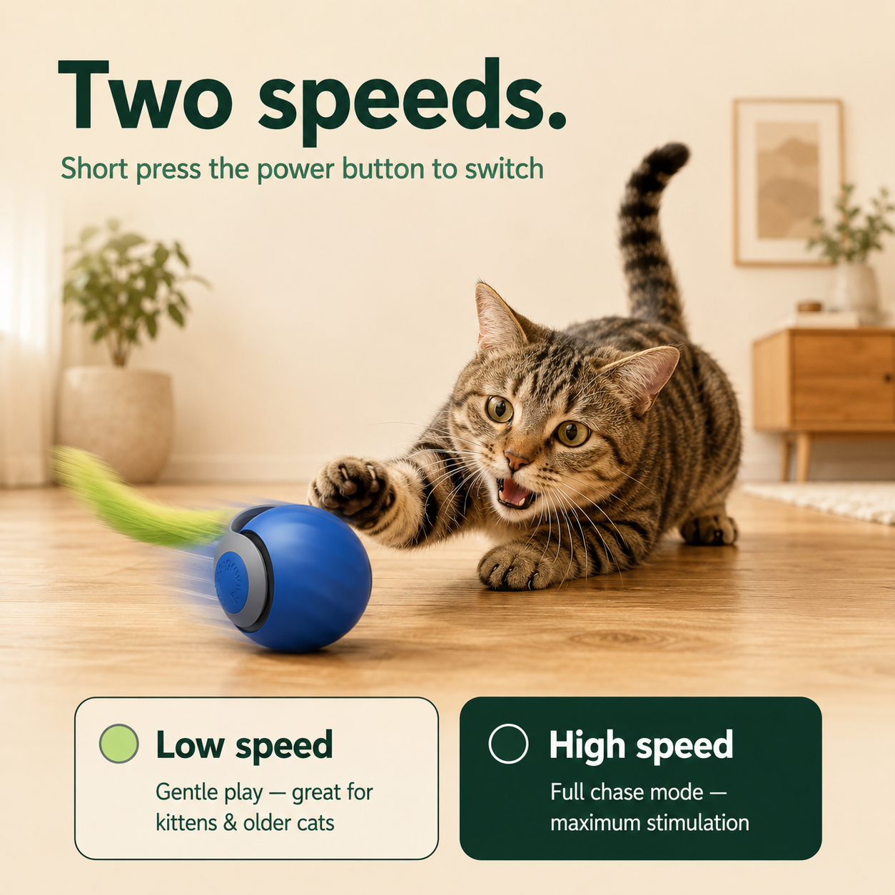 VELTIS™ Chase Ball